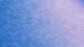 La polaca Kamila Sellier (15) se lesionó después de sufrir un accidente y ser golpeada en la cara con la cuchilla de un patín mientras competía en los cuartos de final de 1.500 metros femeninos de patinaje de velocidad en pista corta en los Juegos Olímpicos de Invierno de 2026.