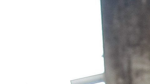 Ralf Schumacher se casa con su novio Étienne Bousquet-Cassagne y su exesposa lo felicita por redes