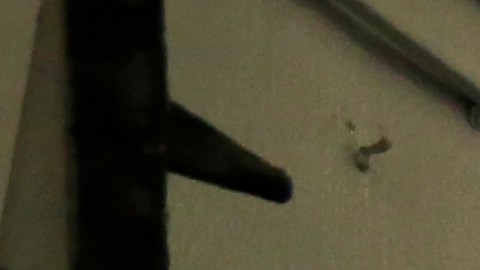 La cantidad de pruebas no reveladas fue tan grande que el equipo de Porter tuvo que lograr que su abogado litigante original, firmara cinco declaraciones juradas.