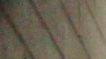 Los residentes con calefacción eléctrica se vieron en la obligación de afrontar las heladas temperaturas abrigando sus casas o buscando refugio con familiares.