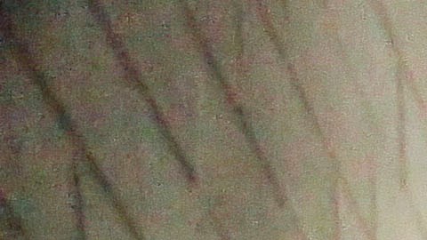 Los residentes con calefacción eléctrica se vieron en la obligación de afrontar las heladas temperaturas abrigando sus casas o buscando refugio con familiares.