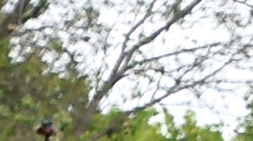 Los detectives todavía no han publicado detalles sobre lo que causó el sangriento enfrentamiento o de las circunstancias que rodearon el cargo de desacato criminal.