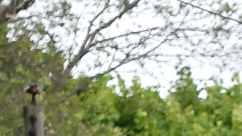 Los detectives todavía no han publicado detalles sobre lo que causó el sangriento enfrentamiento o de las circunstancias que rodearon el cargo de desacato criminal.