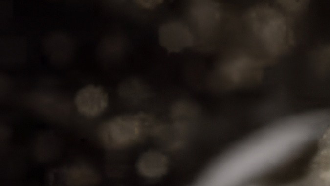 ¿Sabías que el sabor más profundo no siempre viene de especias exóticas, sino de la paciencia? Hoy preparamos esta infusión de ajo a fuego lento, un elixir que transformará tus pastas, carnes y tostadas en una experiencia de restaurante.