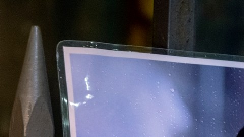 Acusan a Rusia de matar a Alexei Navalny con una toxina vinculada a ranas venenosas