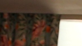 Alicia Machado, actriz venezolana, da a sus favoritos para La Casa de los Famosos 6.