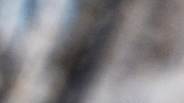 Variedad de brócoli, semillas de chía y salmón organizados de forma estética.