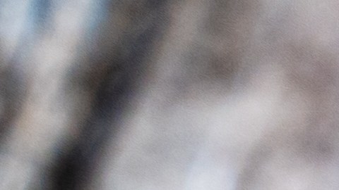 Variedad de brócoli, semillas de chía y salmón organizados de forma estética.