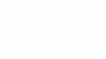 Año Nuevo Chino 2026