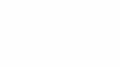 Año Nuevo Chino 2026