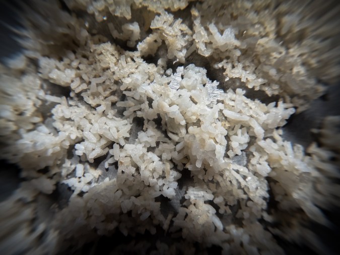 Menyimpan nasi cepat saji di lemari es mencegah racun Bacillus cereus berkembang biak. Kesehatan Anda dimulai dari dapur.