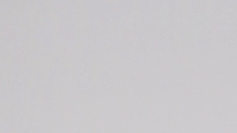 Bad Bunny, cantante puertorriqueño.