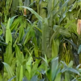 La pieza incluye accesorios originales y hasta los snacks entregados en los ensayos