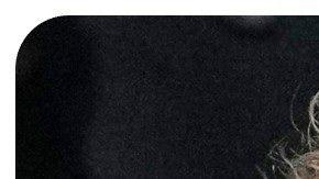 Bad Bunny y Jake Paul