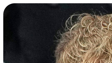 Bad Bunny y Jake Paul