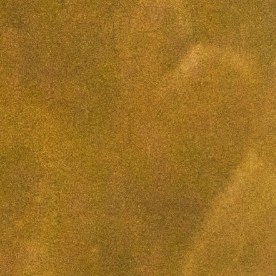 Bad Bunny se anota otro éxito este jueves al ser el artista con más galardones en Premio Lo Nuestro 2026.