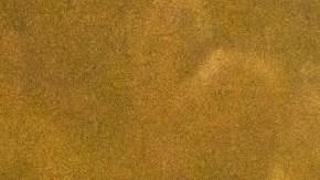 Bad Bunny se anota otro éxito este jueves al ser el artista con más galardones en Premio Lo Nuestro 2026.