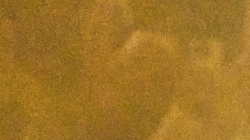 Bad Bunny se anota otro éxito este jueves al ser el artista con más galardones en Premio Lo Nuestro 2026.