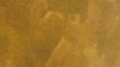 Bad Bunny se anota otro éxito este jueves al ser el artista con más galardones en Premio Lo Nuestro 2026.