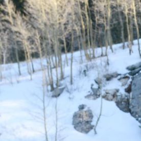 La propiedad está ubicada en Albuquerque, Nuevo México.