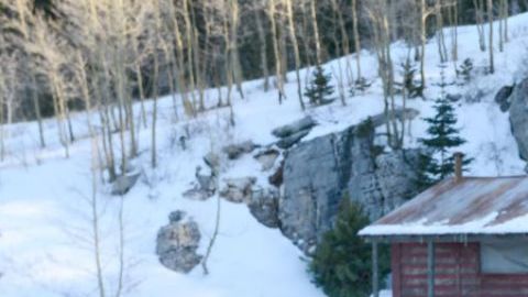 La propiedad está ubicada en Albuquerque, Nuevo México.