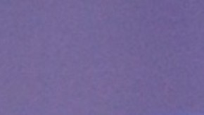 Carlos Adyan, presentador de En Casa con Telemundo, y su esposo Carlos Quintanilla.