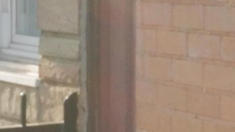 Asambleísta estatal de NY, Claire Valdez