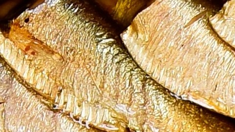 El escudo protector de las latas: la esterilización a 130°C elimina bacterias y permite que tus alimentos duren hasta 5 años sin necesidad de conservadores químicos.