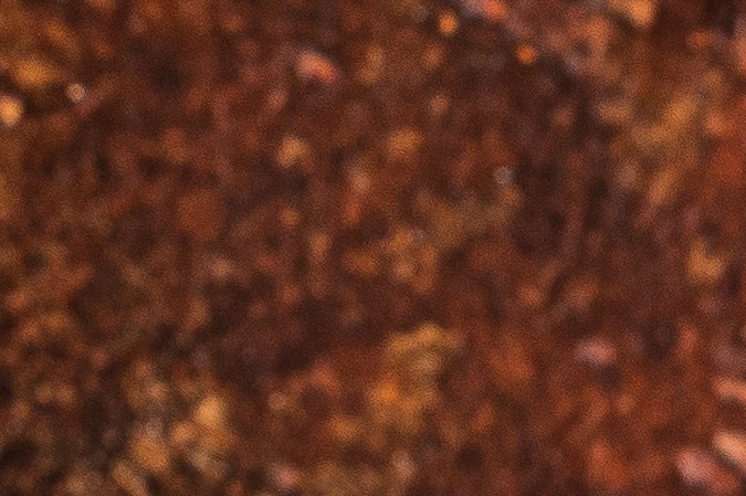 Cómo elegir un jamón de pavo que sí sea saludable.