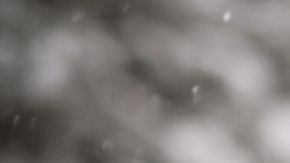 Perro y gato abrigados en la nieve durante una jornada de frío intenso.