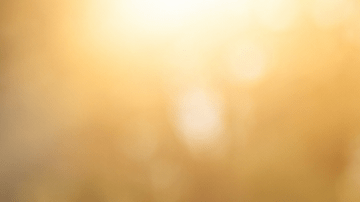Hombre y mujer saludables sonriendo al aire libre, sentados en un parque con luz natural cálida.