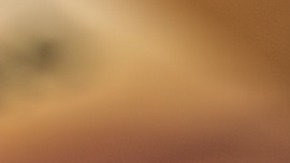 Contar con un buen historial crediticio permite acceder a préstamos con mejores condiciones.