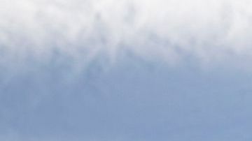 Hunter Hess responde al ataque de Donald Trump.