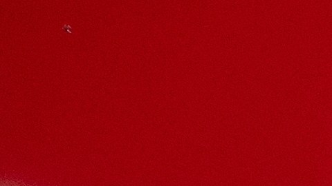 Si compraste los Mini Beignets de Caramelo recientemente, ¡atención! Costco ha retirado más de 8,000 paquetes en 24 estados (incluyendo NY y NJ) debido a un error grave de etiquetado.