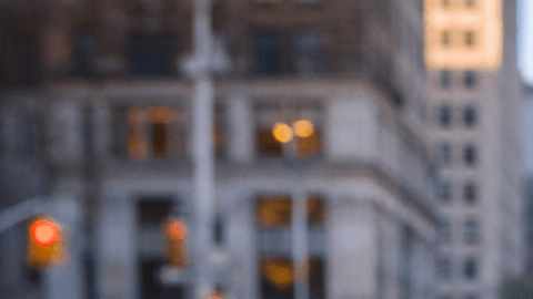 Perro doméstico en entorno urbano de Nueva York durante un paseo cotidiano en la ciudad.