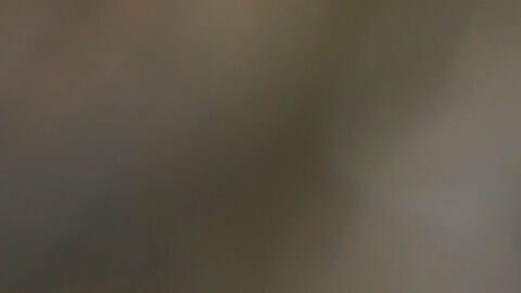 'Cumbres Borrascosas', protagonizada por Jacob Elordi y Margot Robbie, aspira a recaudar $40 millones de dólares.