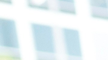 Trump reconoció deportación de beneficiarios de DACA.