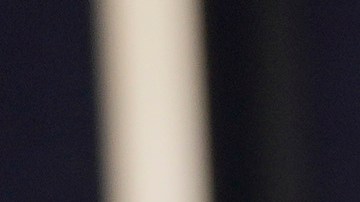 Danny Amendola se retiró oficialmente de la NFL en 2022.