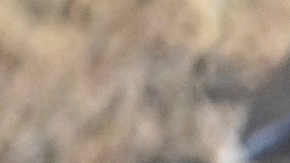 David Ellison promete un mayor volumen en promoción creativa.