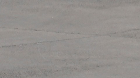 Incidente en vuelo de Delta Air Lines.