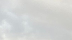 Los trabajadores neoyorquinos cuentan con el respaldo de la Ley de Tiempo Libre Protegido.