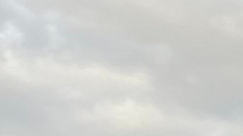 Los trabajadores neoyorquinos cuentan con el respaldo de la Ley de Tiempo Libre Protegido.