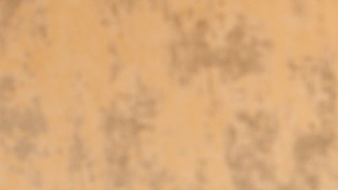 José Luis Rodríguez, también conocido como el Puma.