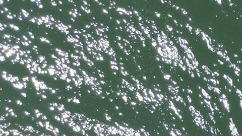 El Salvador decomisa 6.6 toneladas de cocaína, el alijo más grande en su historia