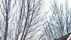 El costo del cuidado infantil refleja un desafío creciente para la economía familiar en EE.UU.