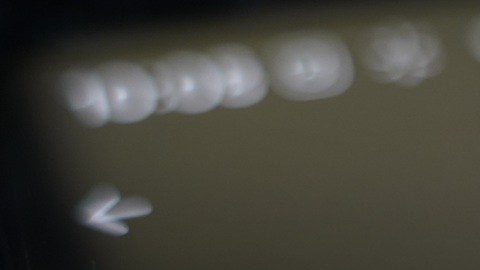 El recorte masivo de Block indica cómo la IA está redefiniendo la estructura del empleo en el sector tecnológico.