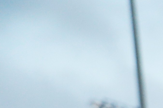 Fans celebran en Puerto Rico con banderas puertorriqueñas durante evento de Bad Bunny