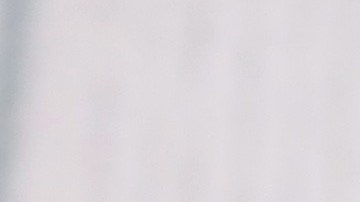 Licencia de conducir Florida