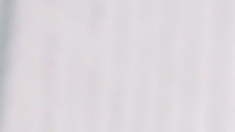 Licencia de conducir Florida