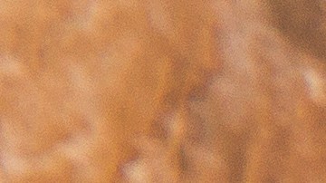 Primer plano de frutos rojos de corozo frescos en un cuenco de madera sobre fondo rústico.